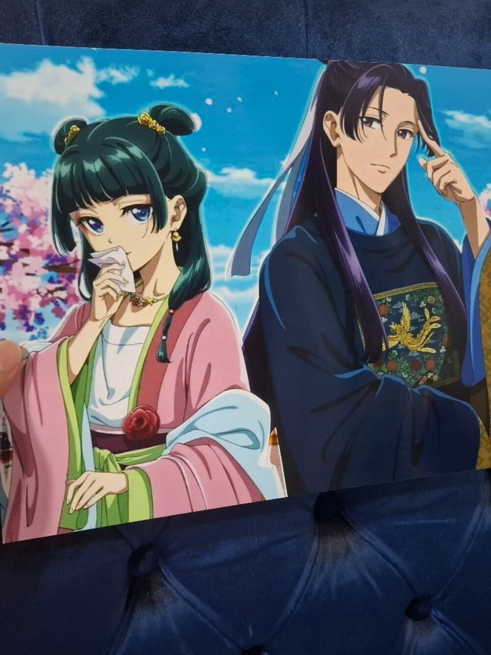The Apothecary Diaries Cover Art Maomao Jinshi Photo Art 8 X 10 Beautiful Animes